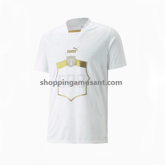Maillot de Foot Serbie Homme Extérieur Coupe du Monde 2022 Manche Courte