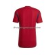Maillot de Foot Espagne Homme Domicile Coupe du Monde 2022 Manche Courte