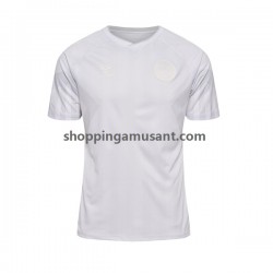 Maillot de Foot Danemark Homme Extérieur Coupe du Monde 2022 Manche Courte