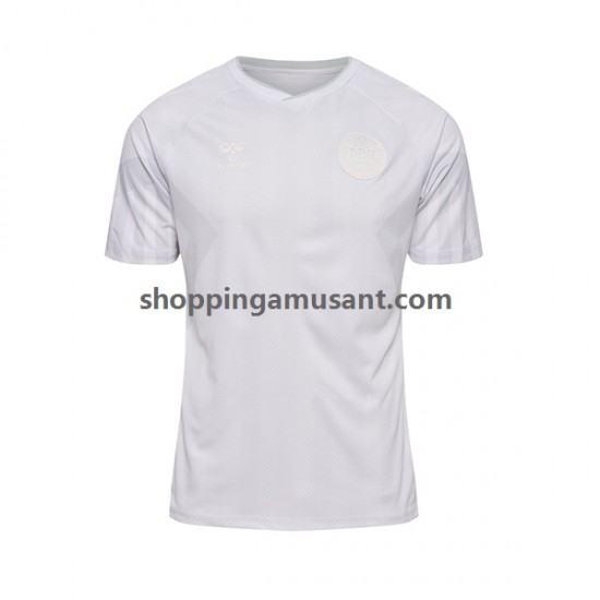 Maillot de Foot Danemark Homme Extérieur Coupe du Monde 2022 Manche Courte