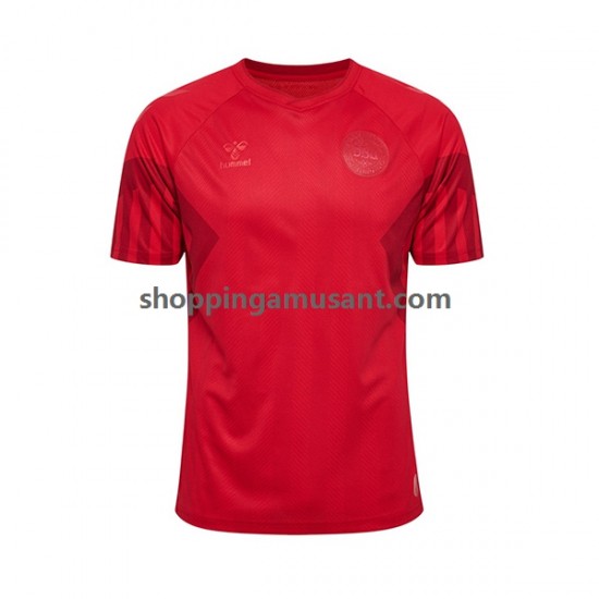 Maillot de Foot Danemark Homme Domicile Coupe du Monde 2022 Manche Courte