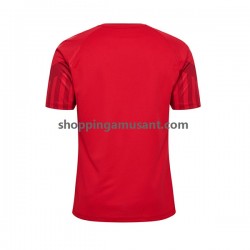 Maillot de Foot Danemark Homme Domicile Coupe du Monde 2022 Manche Courte