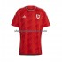 Maillot de Foot Pays de Galles Homme Domicile Coupe du Monde 2022 Manche Courte