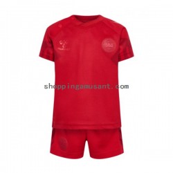 Maillot de Foot Danemark Enfant Domicile Coupe du Monde 2022 Manche Courte