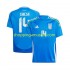 Maillot de Foot Italie Chiesa 14 Homme Domicile Euro 2024 Manche Courte