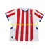 Maillot de Foot Paraguay Homme Domicile 2024 Manche Courte