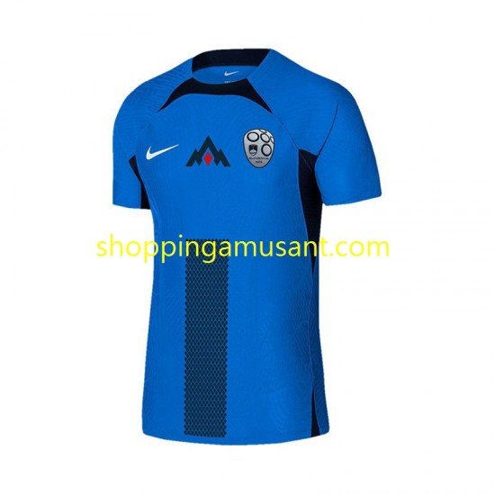 Maillot de Foot Slovénie Homme Extérieur Euro 2024 Manche Courte
