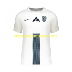 Maillot de Foot Slovénie Homme Domicile Euro 2024 Manche Courte