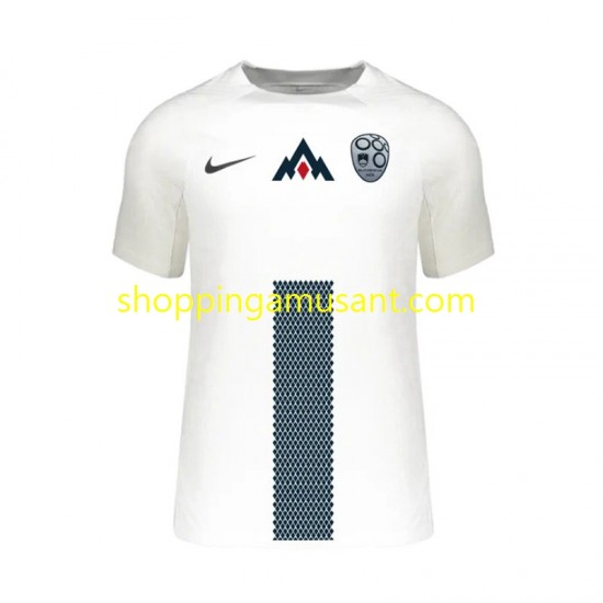 Maillot de Foot Slovénie Homme Domicile Euro 2024 Manche Courte