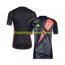 Maillot de Foot Pays de Galles Gardien Homme Domicile 2024 Manche Courte