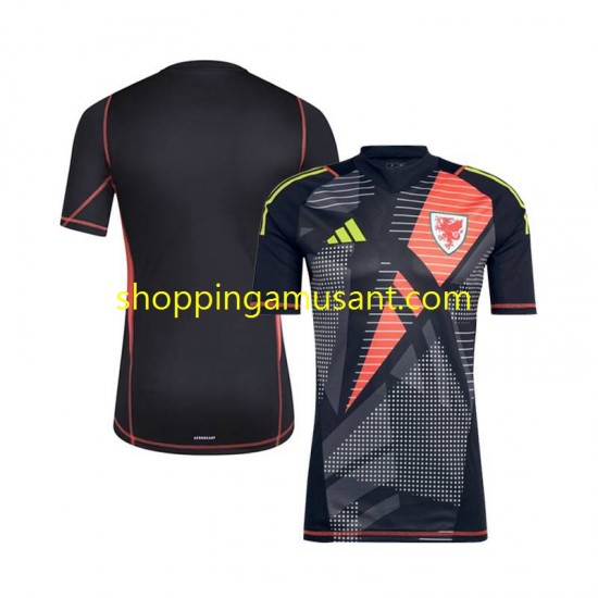 Maillot de Foot Pays de Galles Gardien Homme Domicile 2024 Manche Courte