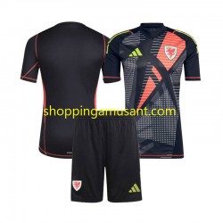 Maillot de Foot Pays de Galles Gardien Enfant Domicile 2024 Manche Courte