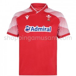 Maillot Rugby Pays de Galles 7S Domicile 2020-2021 Manche Courte