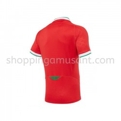 Maillot Rugby Pays de Galles Domicile 2020-2021 Manche Courte